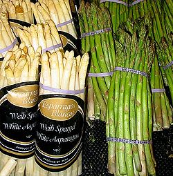 White and green asparagus - crispy stems are the edible parts of this vegetable